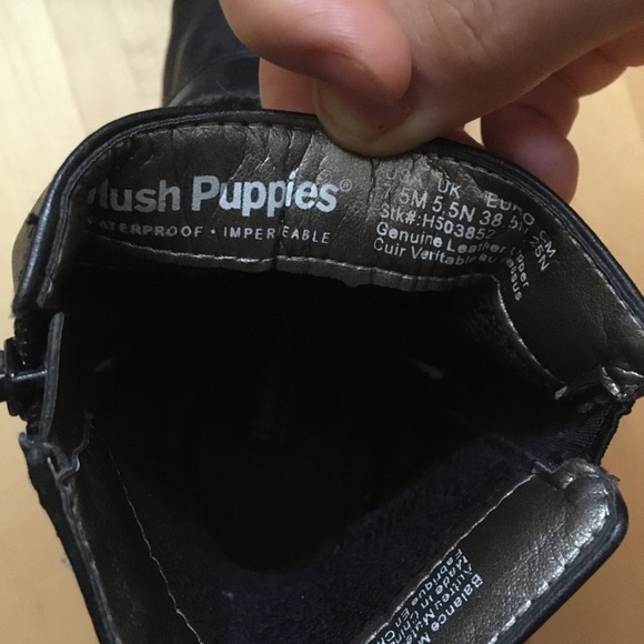 Hush Puppies leather ankle booties with buckles - Picture 6 of 7